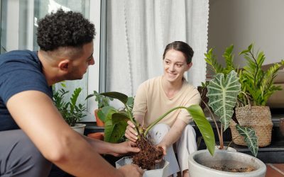 How To Grow Herbs Indoors