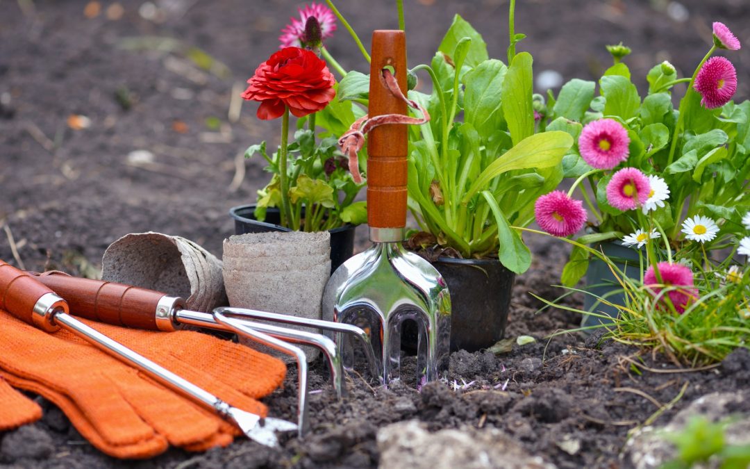 8 Must-have Gardening Tools
